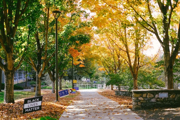 types-of-aid-unc-asheville