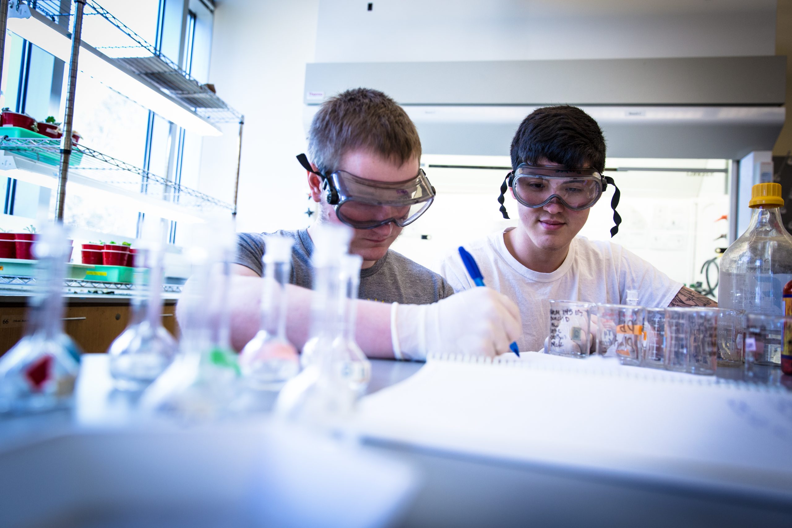 Two chemistry students  working in a lab