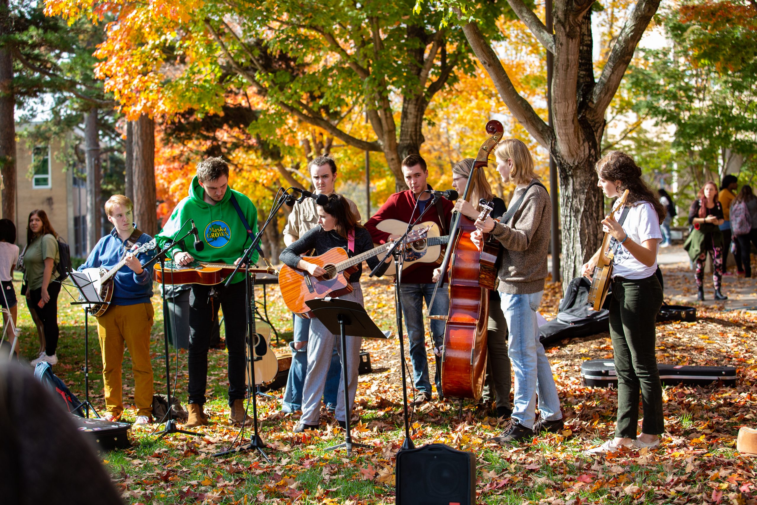 A student music ensemble performing at turning of the maples