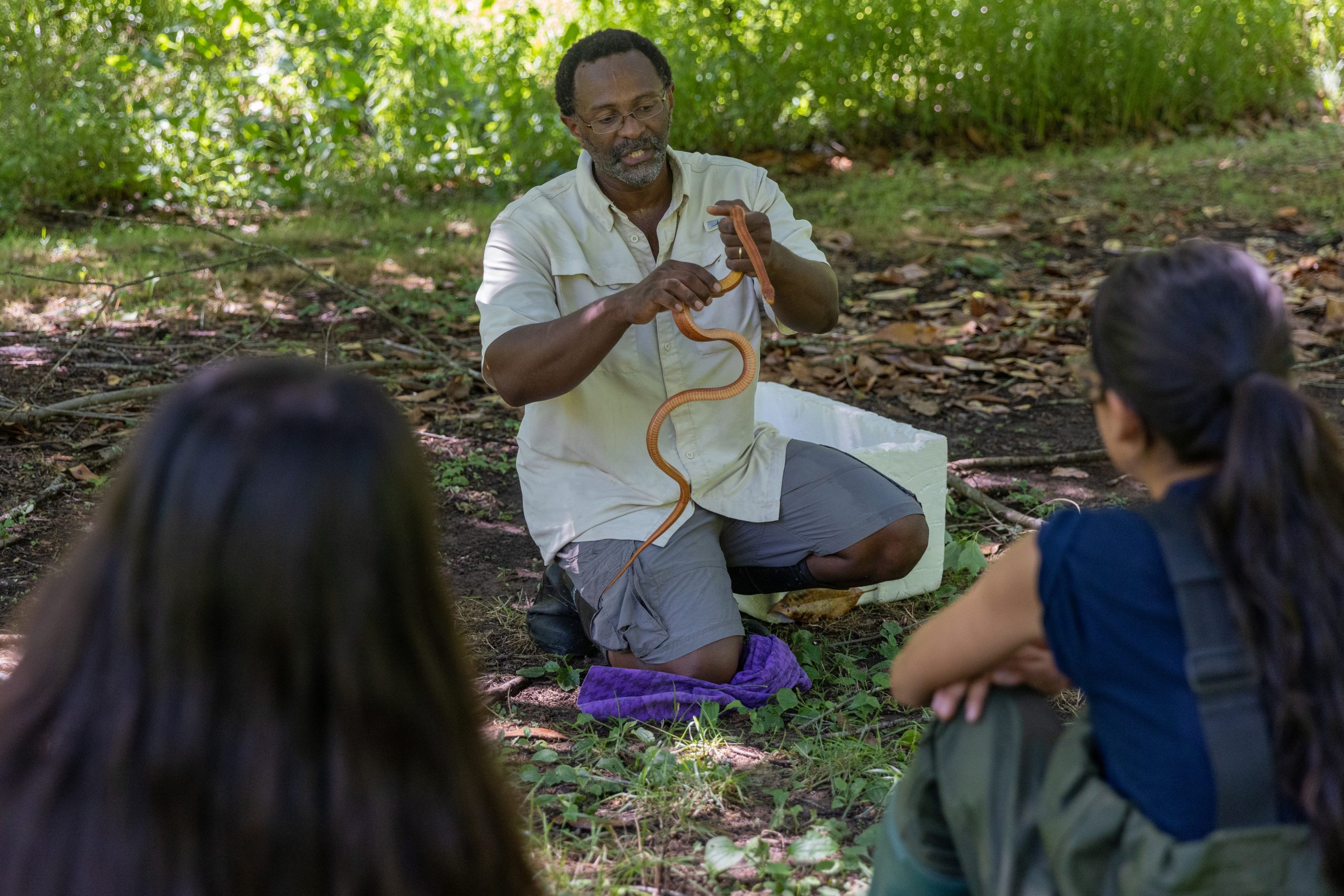 A professor holding and talking about a snake to some students outdoors